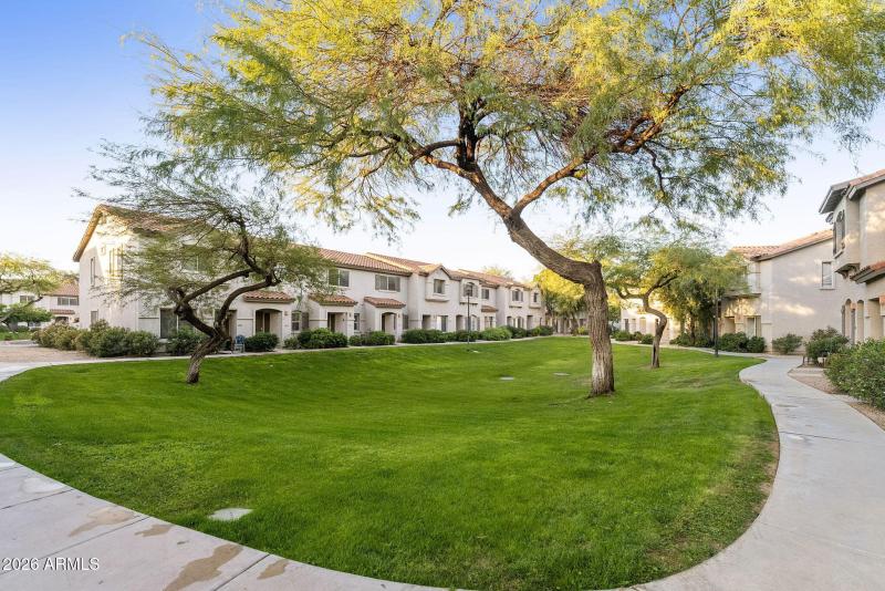 13-web-or-mls-DLB_6250