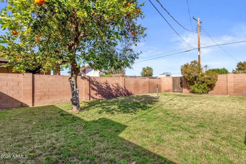 Beautiful grassy area