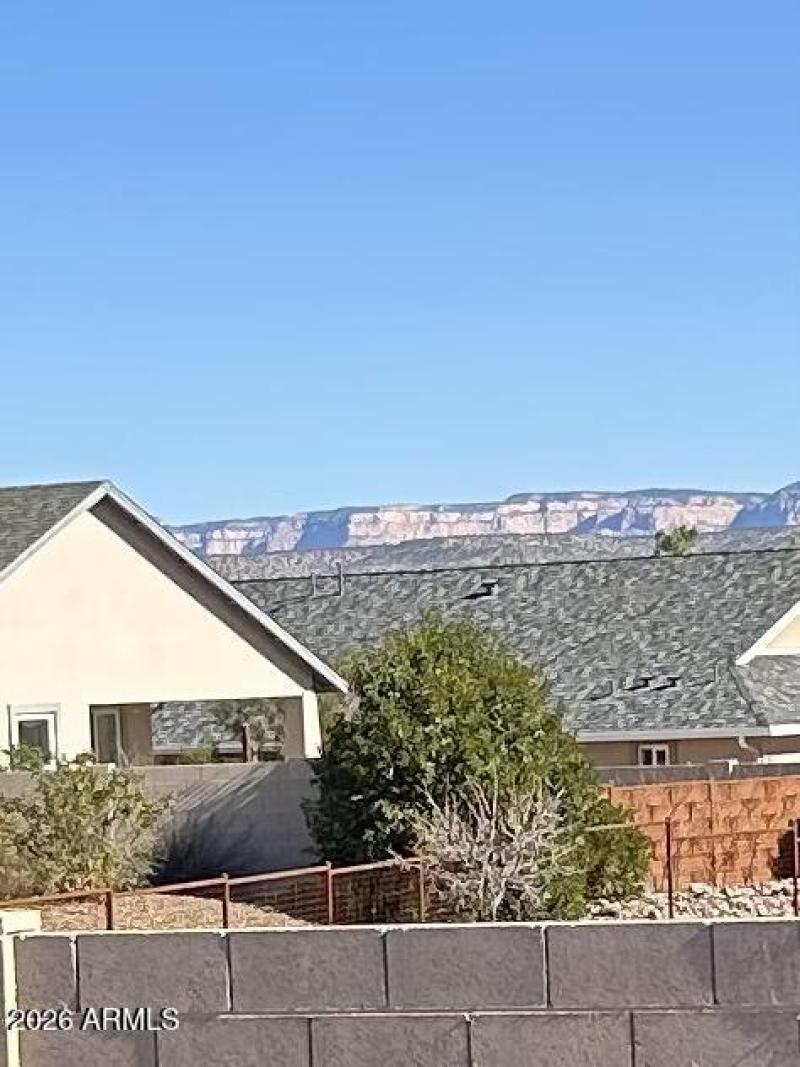 View from the back yard