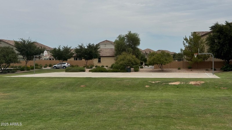 Basketball Court