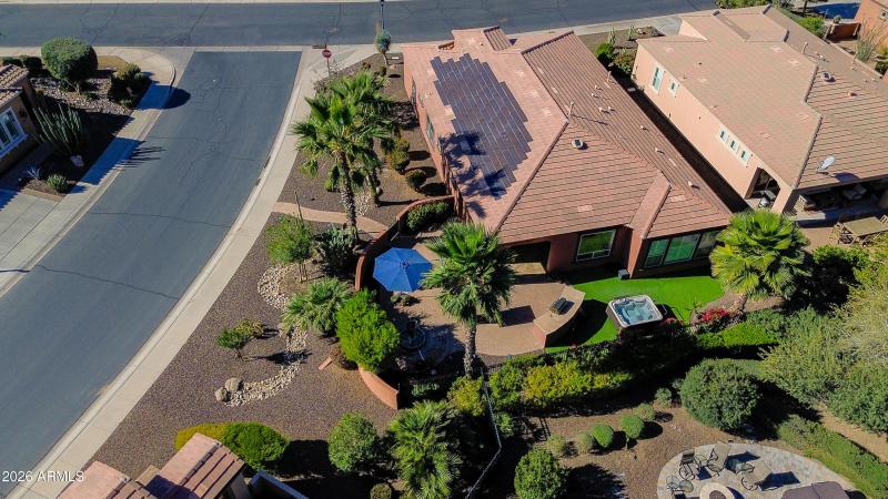 Sweet Citrus_Drone-5