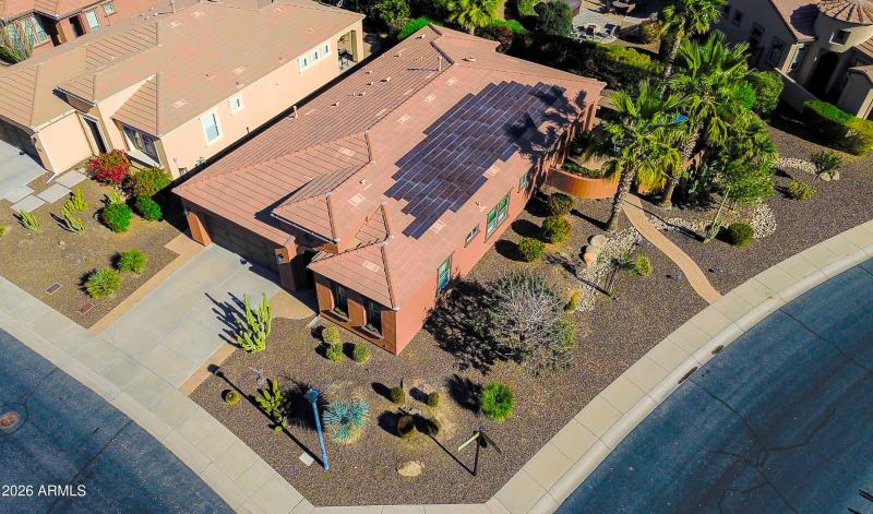 Sweet Citrus_Drone-7