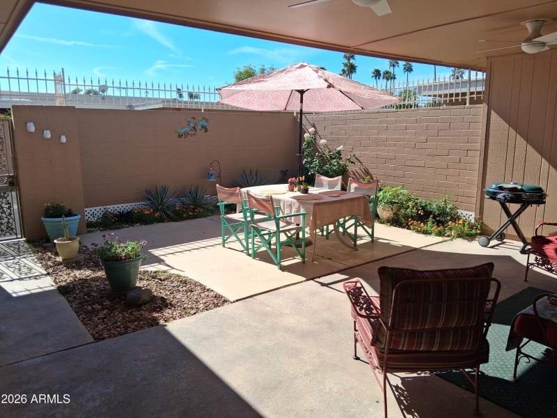 13663 Backyard