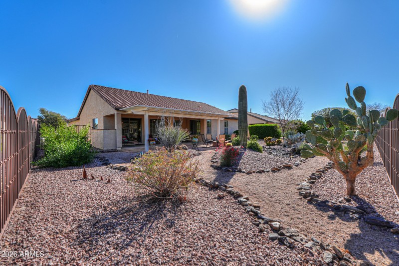 Desert landscaping