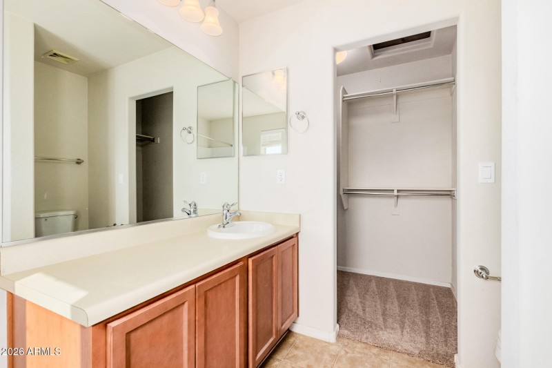 Primary Vanity & Walk-In CLoset