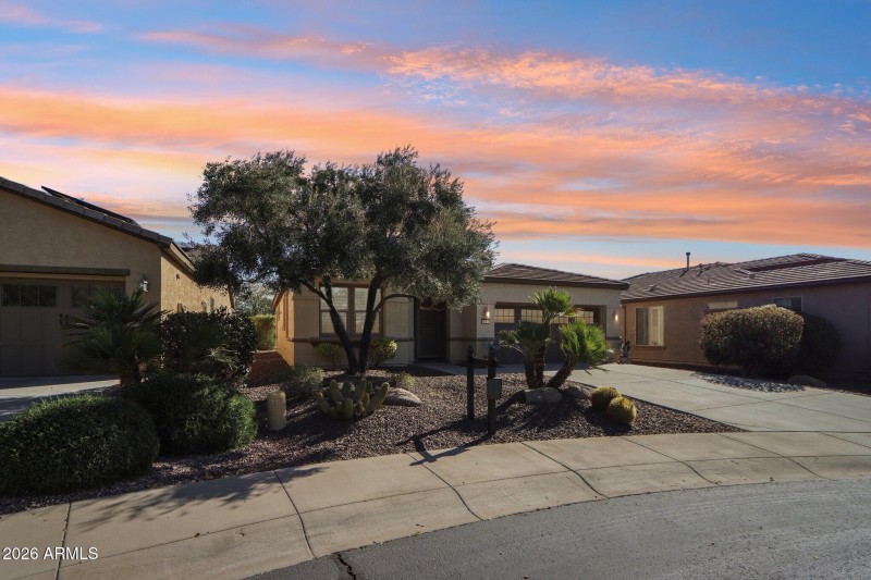 West Facing Front Yard