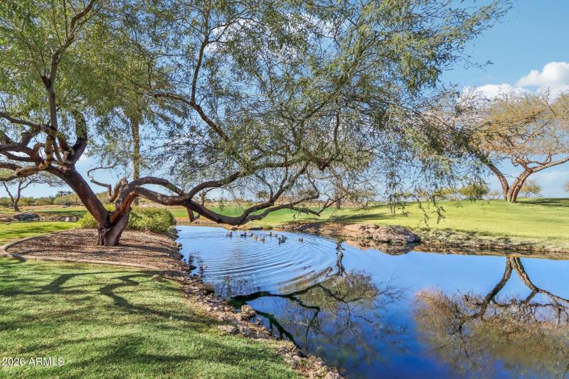 Take a morning stroll on the many paths