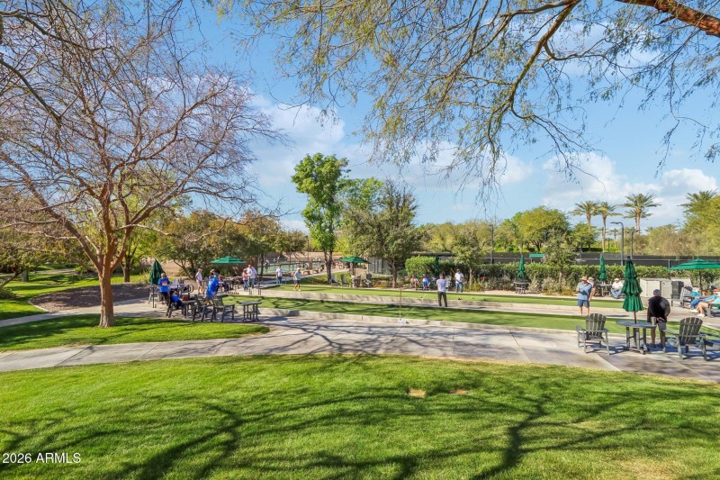 Many clubs & leagues