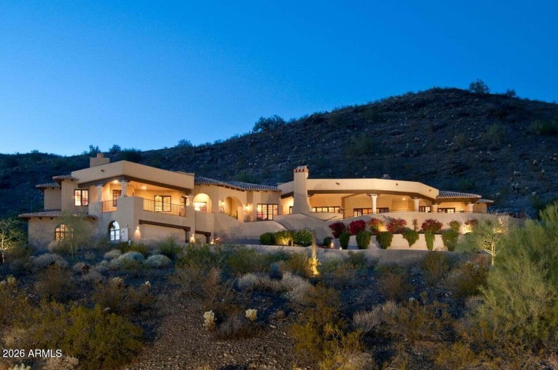 Desert Willow _ Night