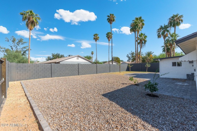 Backyard
