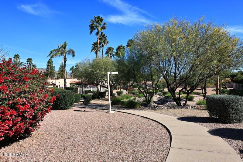 Emerald Scottsdale-Walking Path
