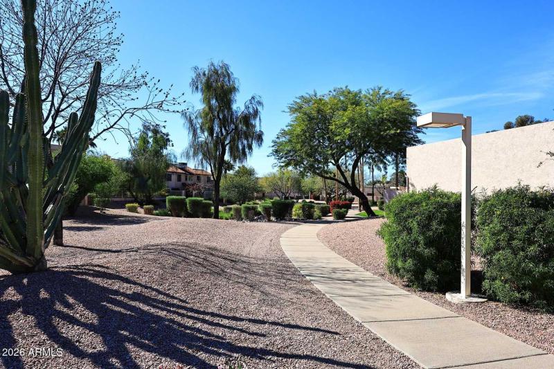 Emerald Scottsdale-Walking Path2