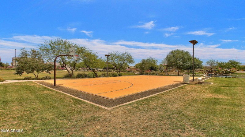 Basketball Court
