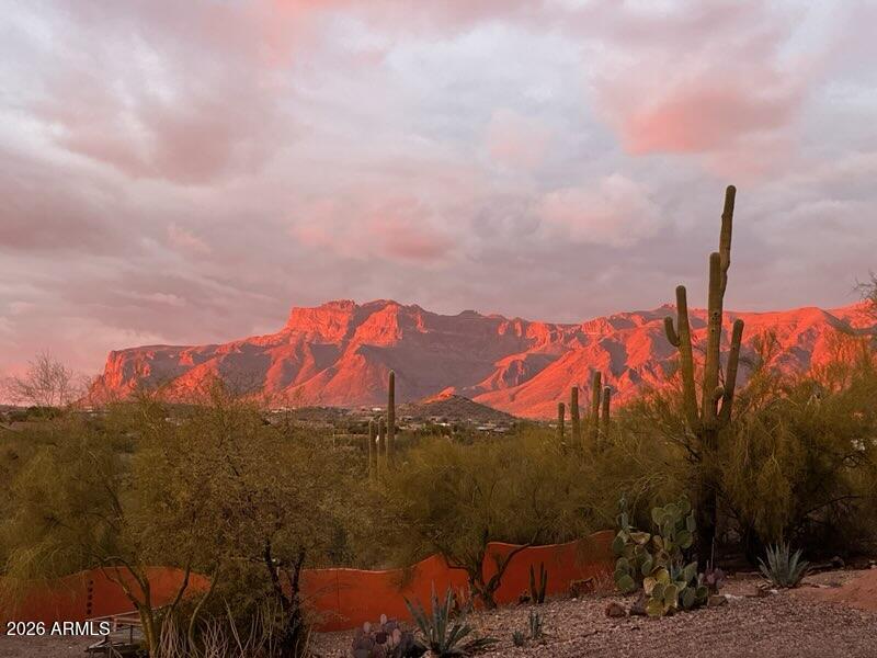 FF227FE9-EEE5-425F-95BA-12D586B23D39