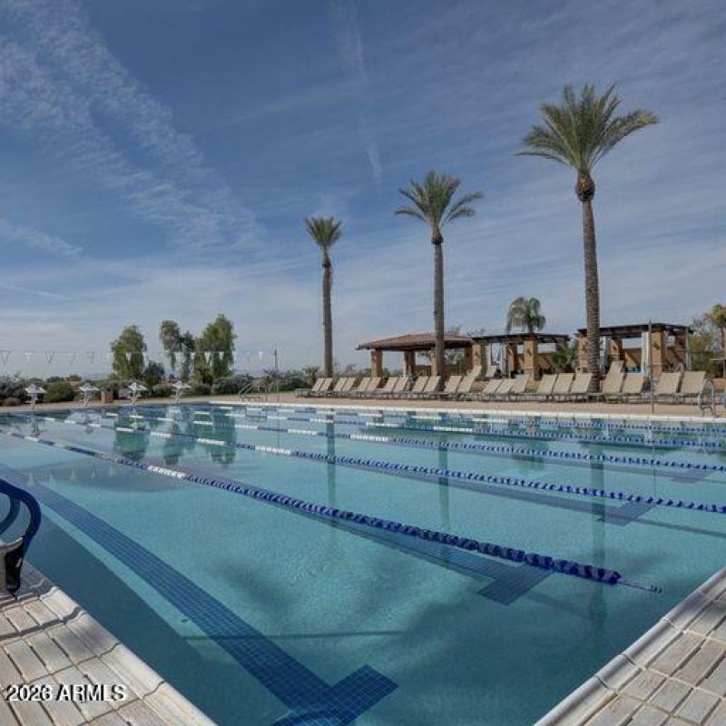 Seville Lap Pool & Cabanas