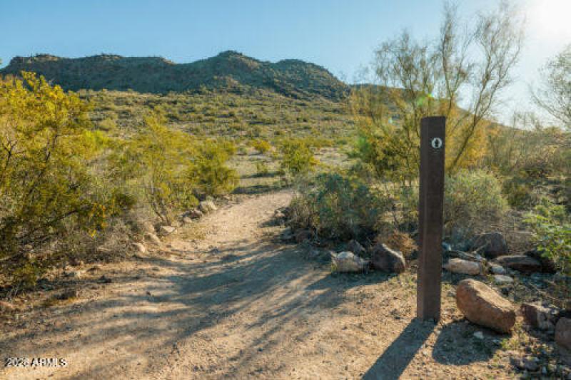 DeemHills-28-of-49-scaled-500x333