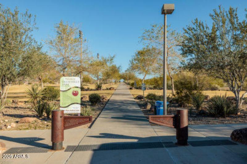 DeemHills-43-of-49-scaled-500x333