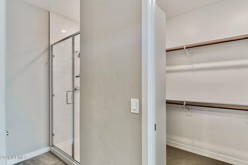 Master Shower + Walk-In Closet