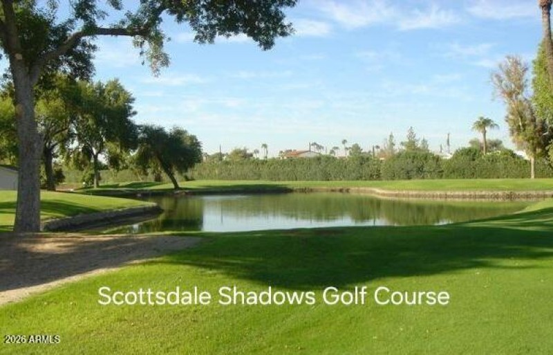 shadows golf (1)