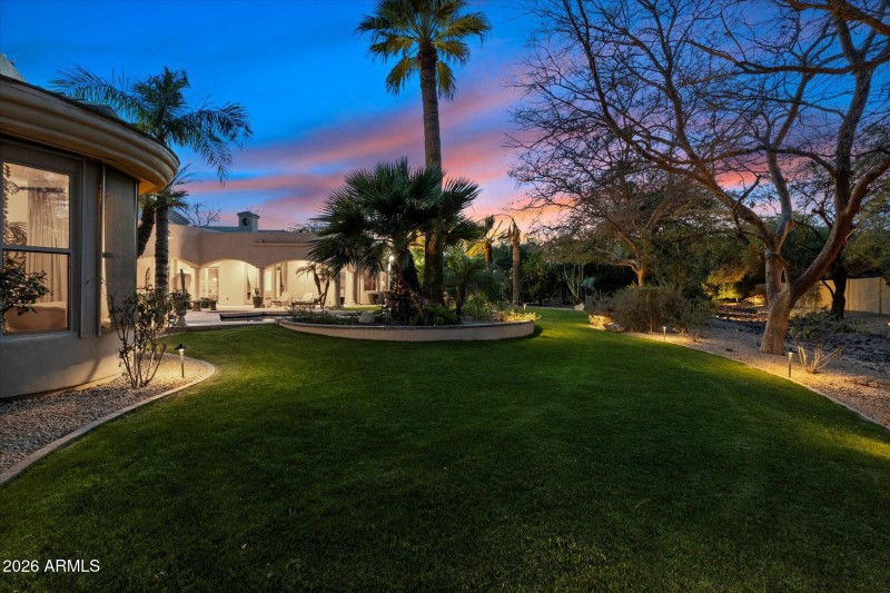 Twilight Backyard