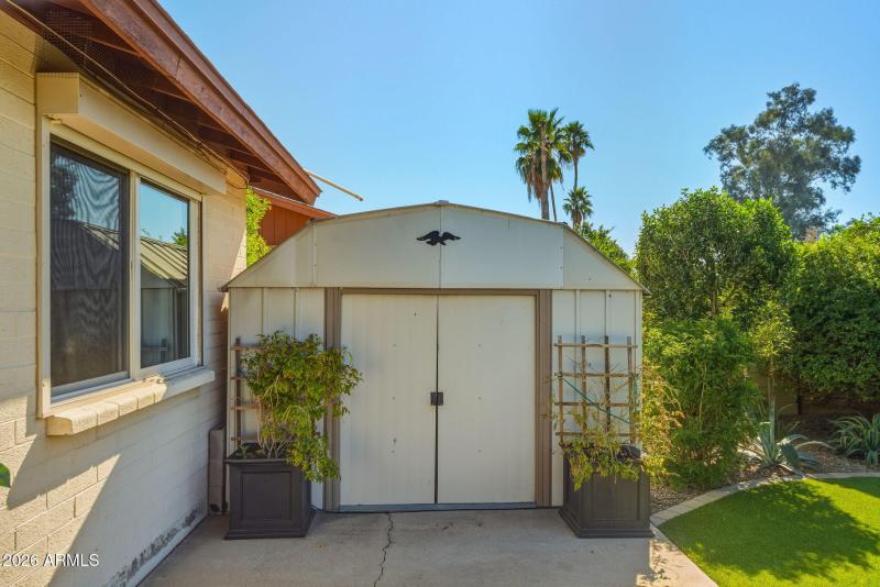 Shed in Backyard