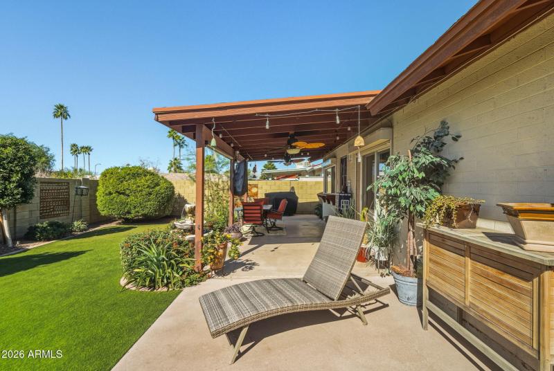 Backyard facing North