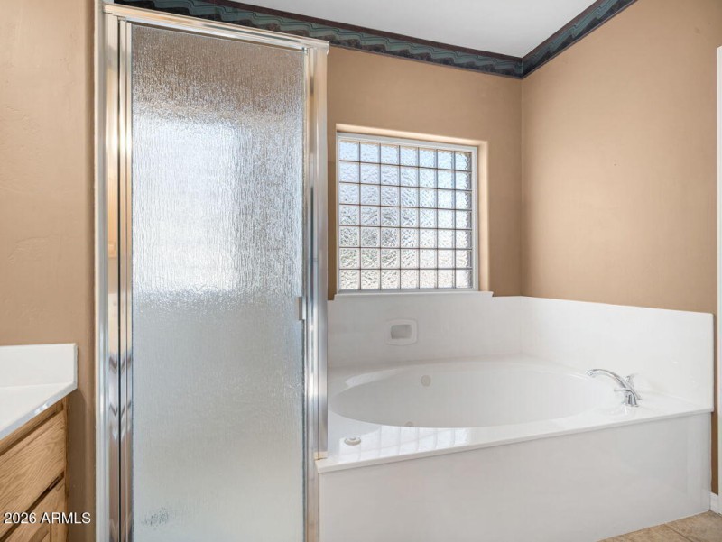 Primary Bathroom Shower-Tub