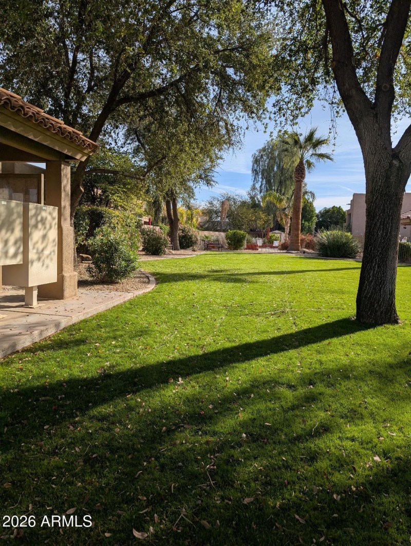 Pool area - 8364 E Las Estancias, Scotts
