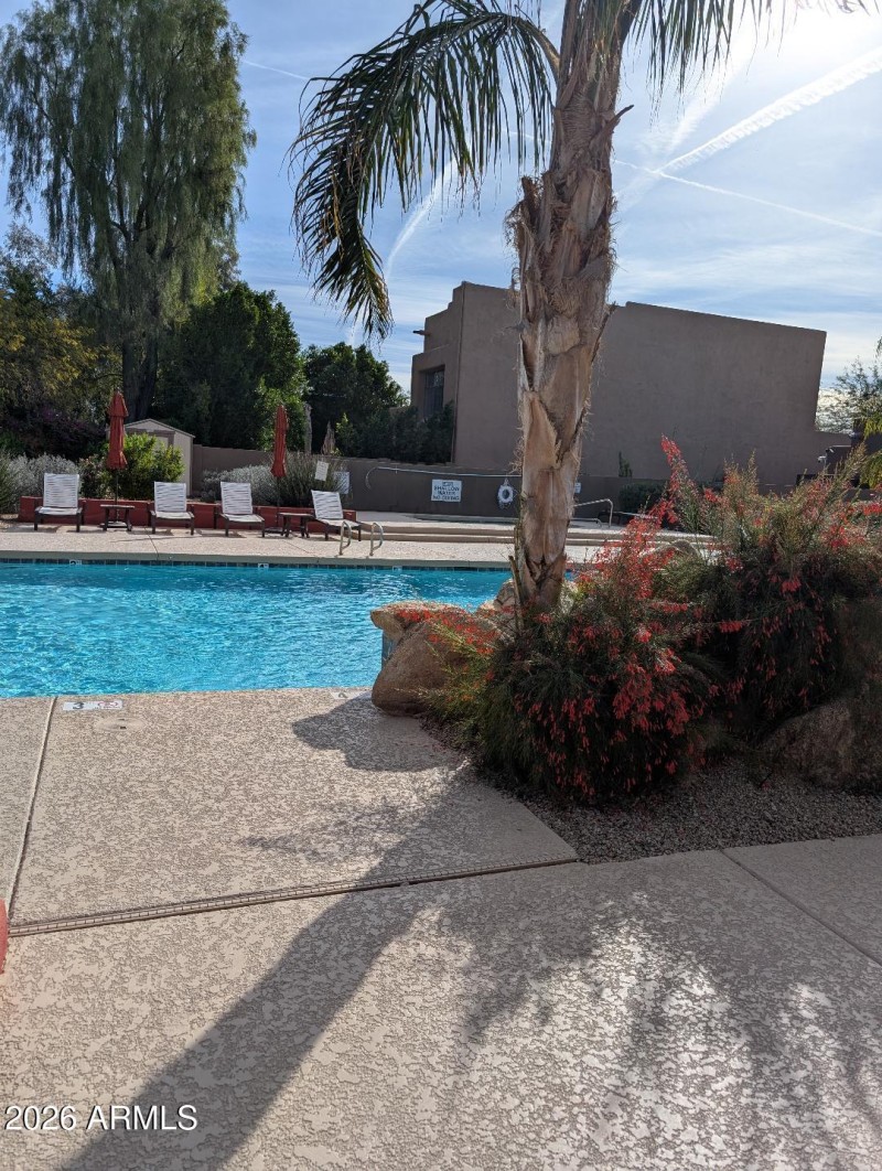 Pool area 2 - 8364 E Las Estancias, Scot