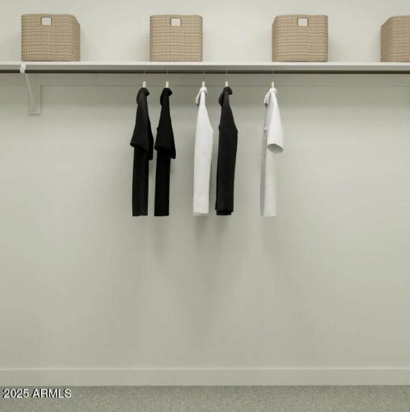 Owners Walk in Closet