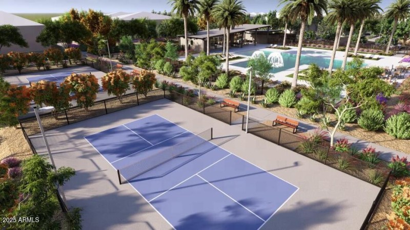 Pickleball Court