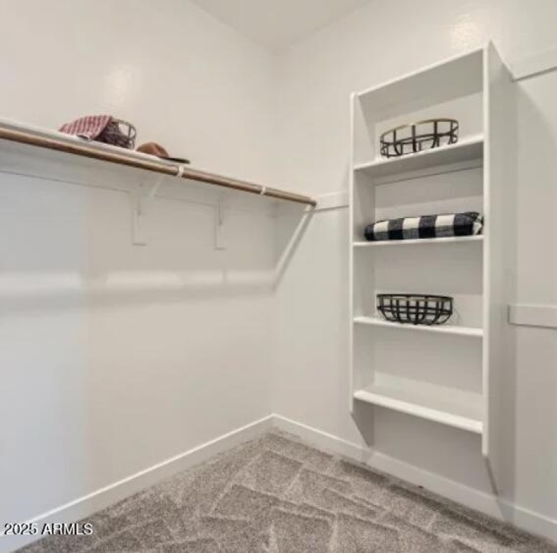 Owners Walk in Closet