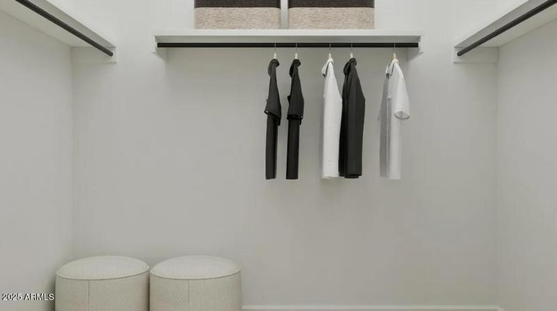 Owners Walk in Closet