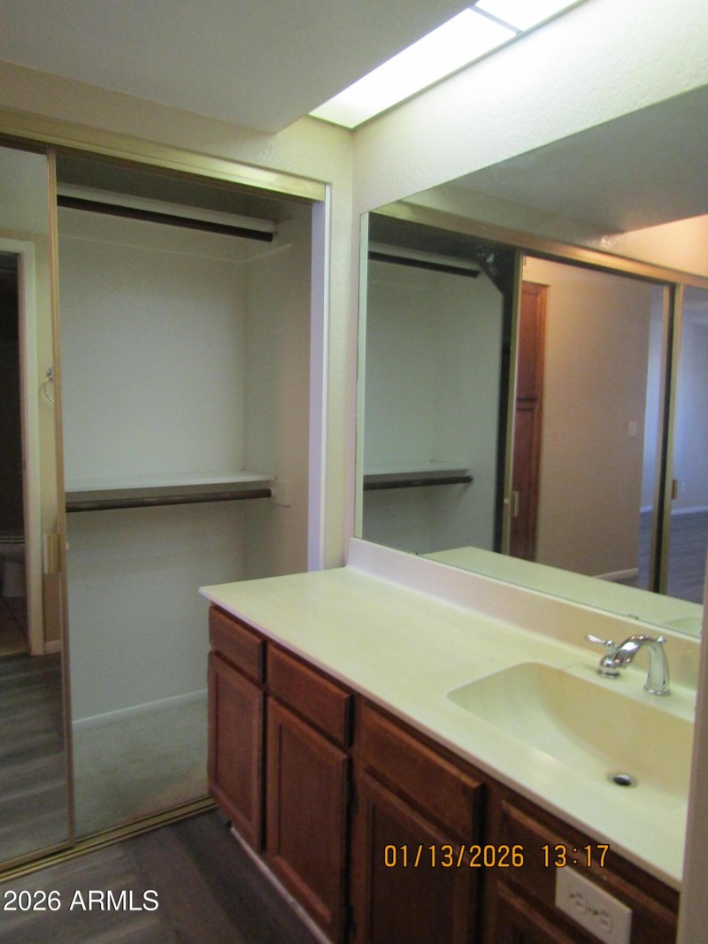 Primary Bedroom sink and closet area