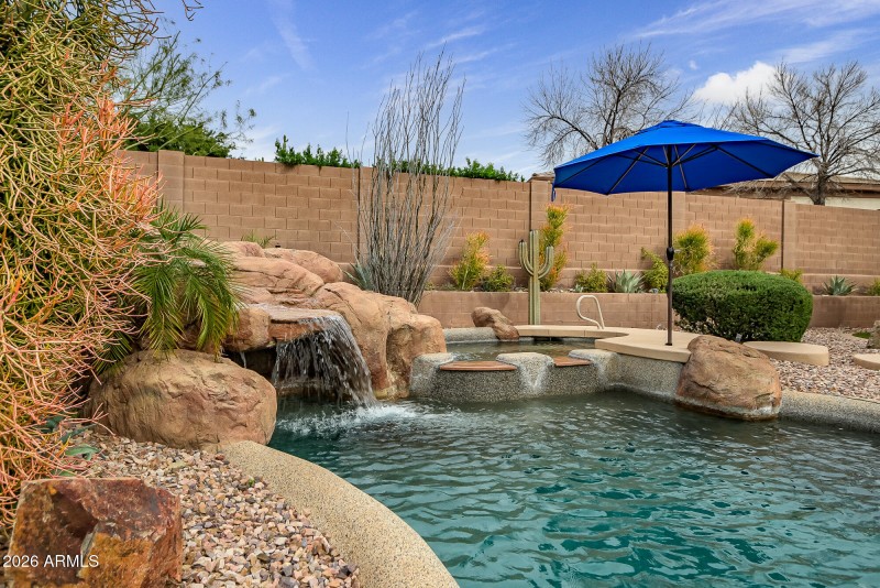 Backyard Oasis