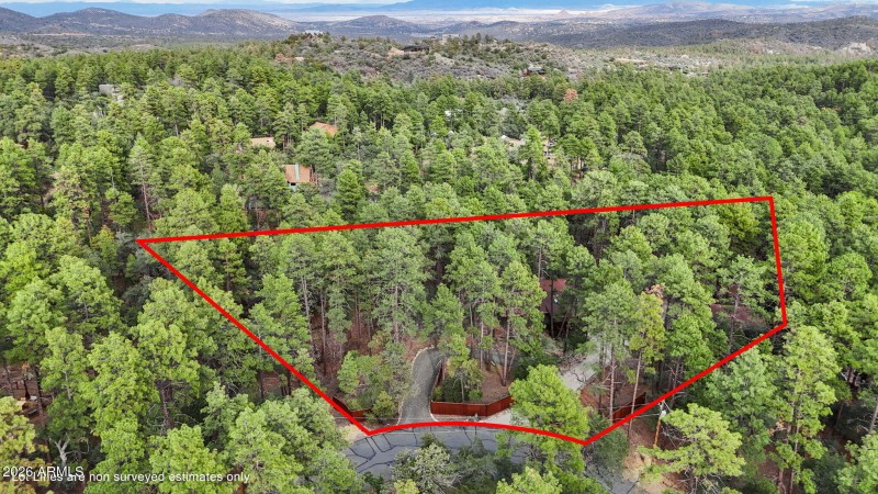 Aerial Lot Lines