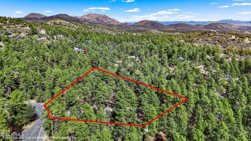 Aerial Lot Lines