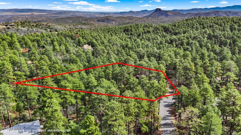 Aerial Lot Lines