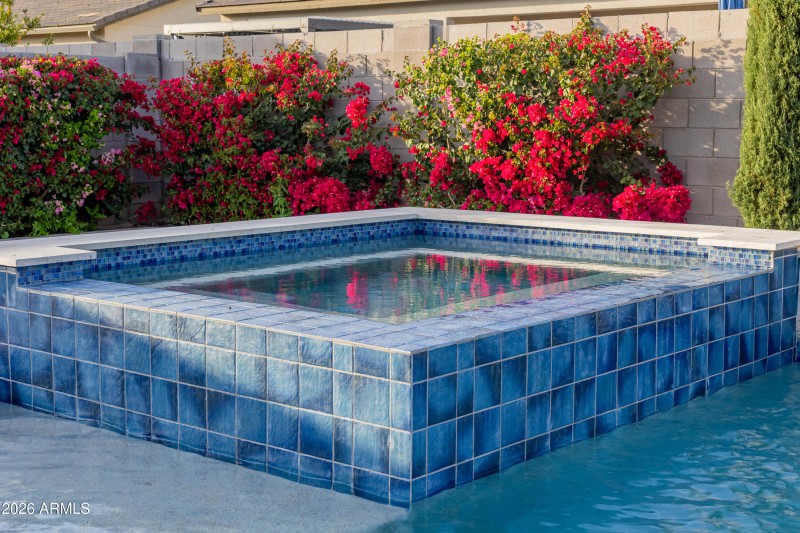 Professionally designed oasis