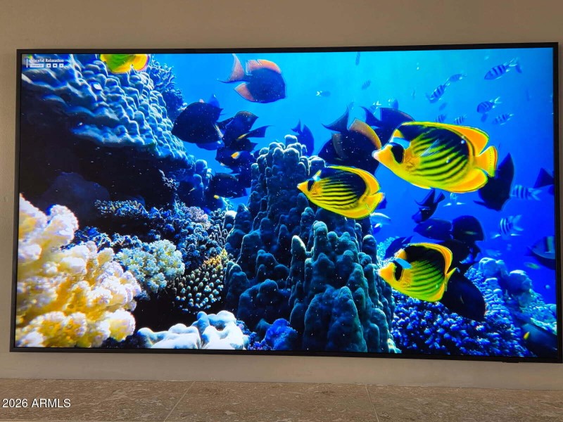 ULTRA FLAT 65" piture frame TV