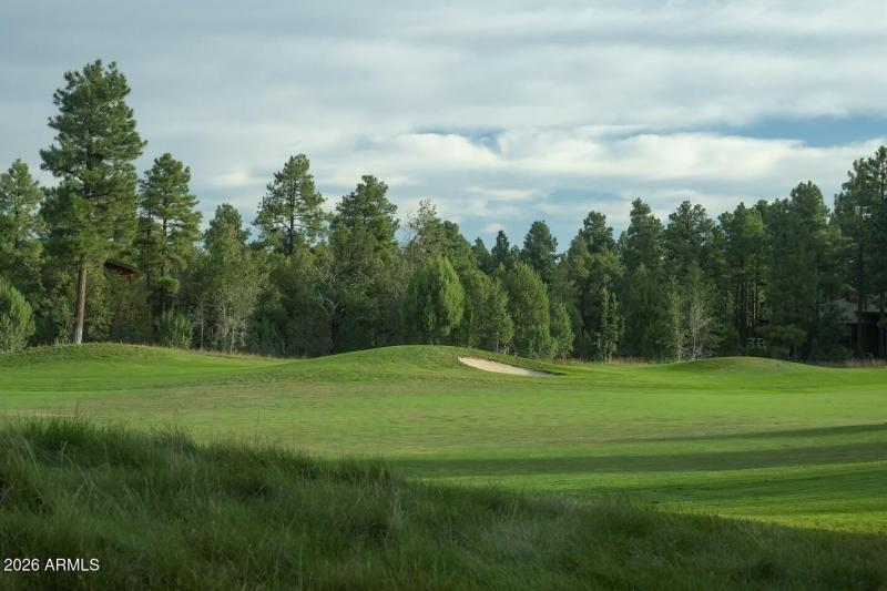 Torreon-Golf-Course-16-2