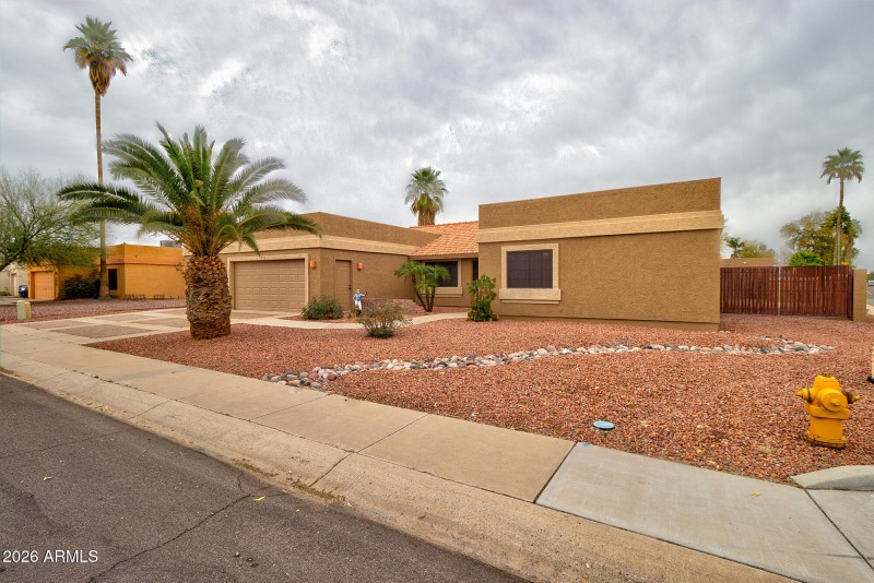 Low Maintenance Landscape