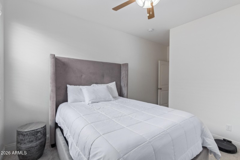 28 - Eucalyptus 1317