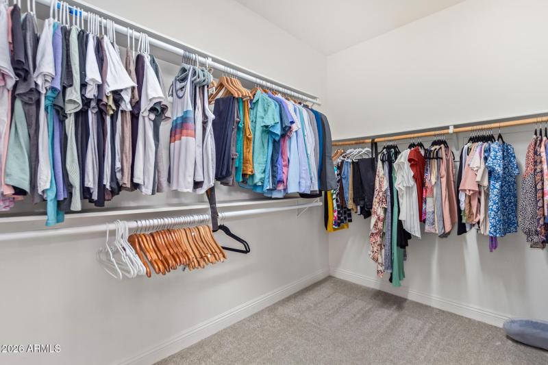 26 - Eucalyptus 1317