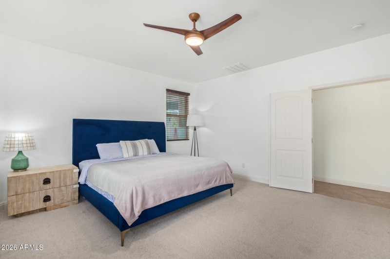 20 - Eucalyptus 1317