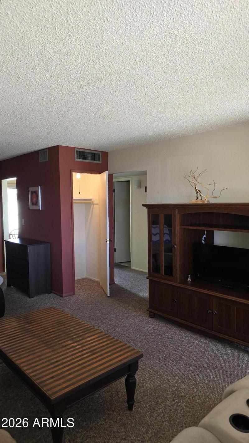 living room with Storage