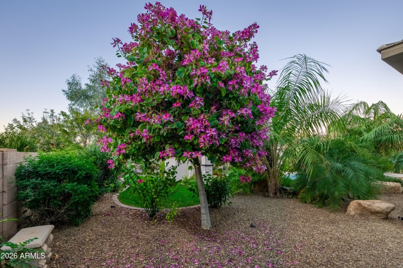 6508 W Avenida Del Sol - 95