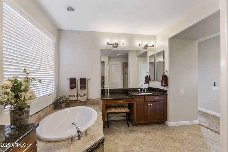 Owner Suite's Bathroom