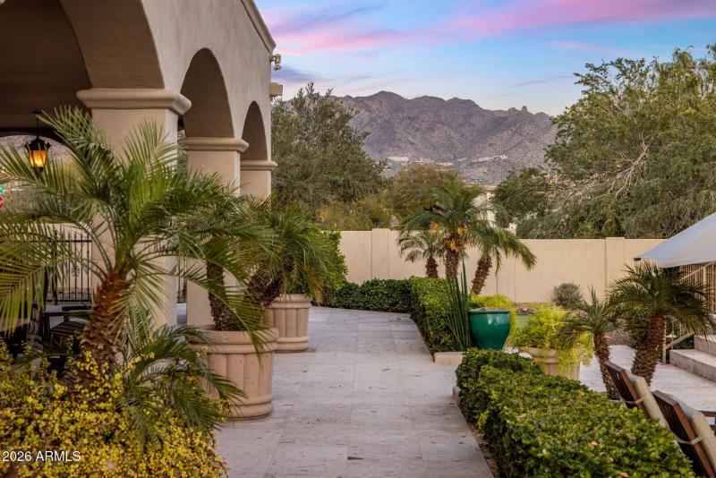 Backyard at Twilight