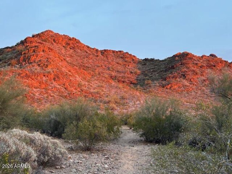 Phoenix Mountain Preserve